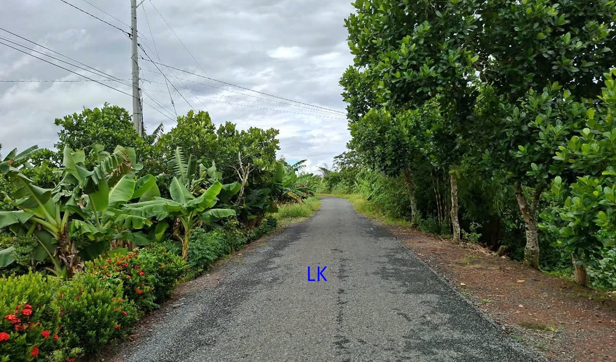 Đất nền 5400m² tại Mỹ Thọ, Đồng Tháp - Giá chỉ 2 tỷ, tiềm năng đầu tư hấp dẫn!