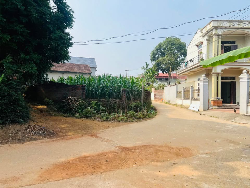 Đất nền Phượng Lâu, Việt Trì 91m² - Đường thông thoáng, tiện ích đầy đủ!