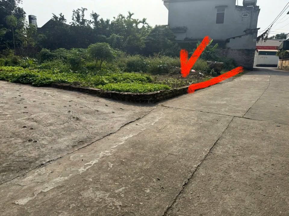 Nhà phố Thanh Miếu Việt Trì 50m² giá 1,2 tỷ - Ô tô tránh, gần siêu thị GO