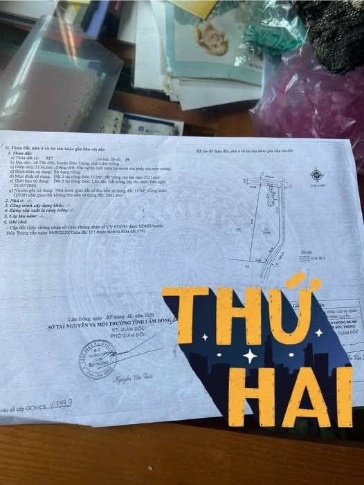 Đất nền 1000m² Tân Hội, Đức Trọng chỉ 1.8 tỷ - Vị trí đắc địa gần chợ!