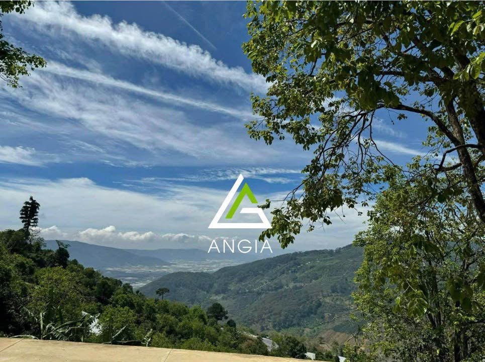 Đất nền 200m² hẻm Lý Nam Đế, Đà Lạt - Giá 7.9 tỷ, sổ riêng, sang tên ngay!