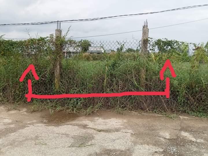 Đất nền Ấp 5 Châu, xã Bình Đông, Gò Công 135m² giá 820 triệu - Đầu tư sinh lời hấp dẫn!