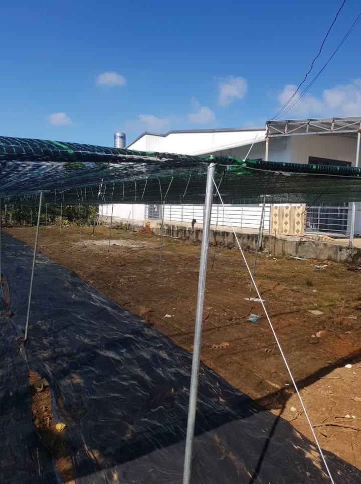 Đất nền Bảo Lộc 224m² giá 1.2 tỷ - An cư lạc nghiệp ngay hẻm Đoàn Thị Điểm!