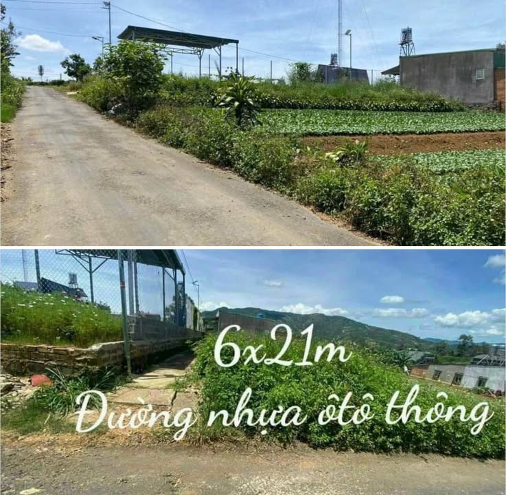 Đất nền Bảo Lộc 126m² giá 1.15 tỷ - Vị trí mặt tiền thuận lợi!