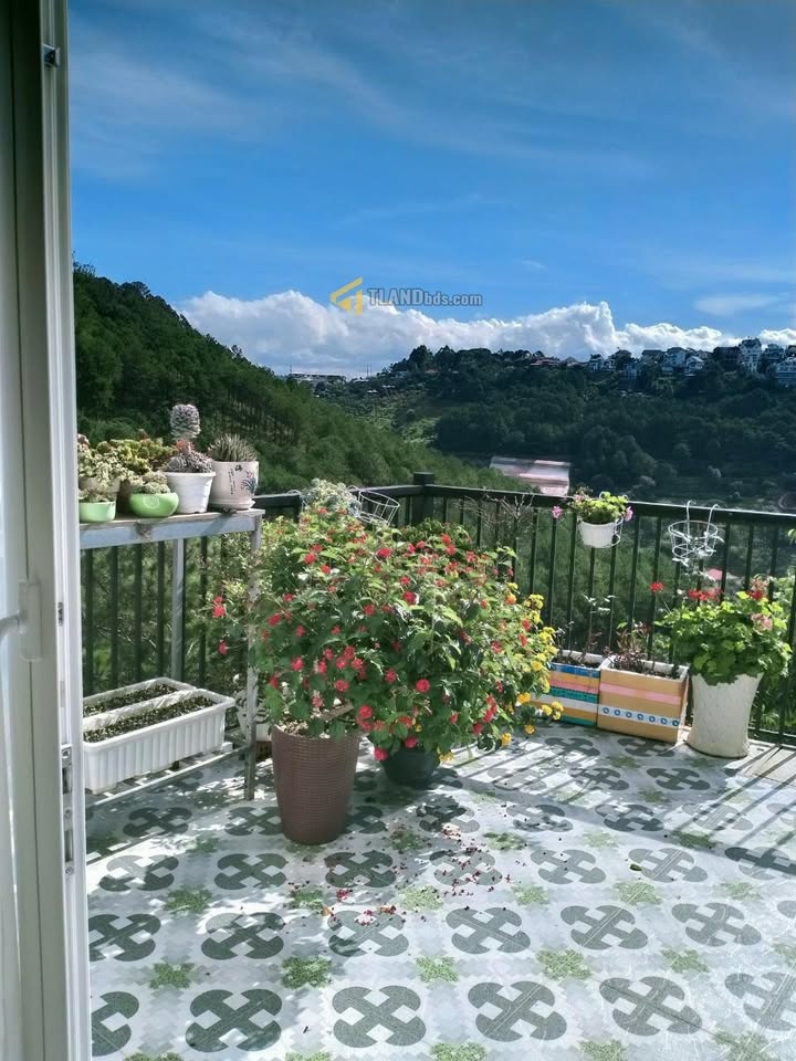 Nhà cấp 4 mặt tiền đường Trần Quang Diệu, Đà Lạt - 61m² giá 7 tỷ - Pháp lý rõ ràng!