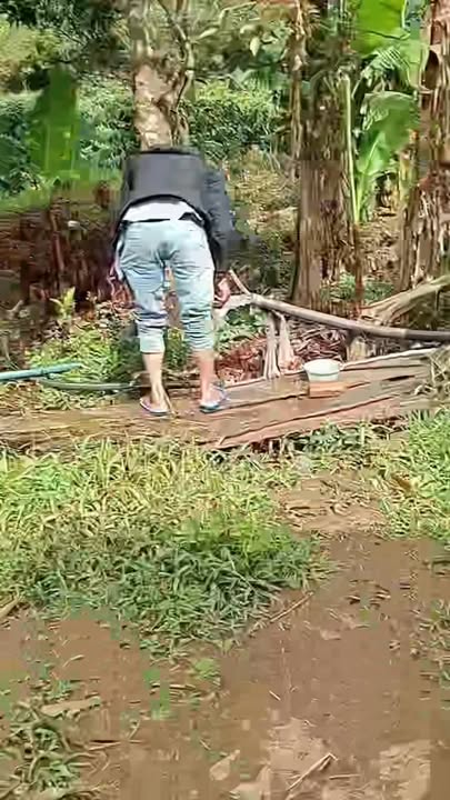 Farm Đắk Ui Kon Tum 5ha giá 1.6 tỷ - Đất trống, cà phê kinh doanh hiệu quả!