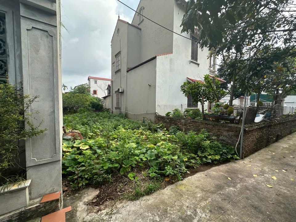 Đất chính chủ Đan Kim, Liên Nghĩa, Văn Giang 76m² giá 2.964 tỷ - Cơ hội đầu tư không thể bỏ lỡ!