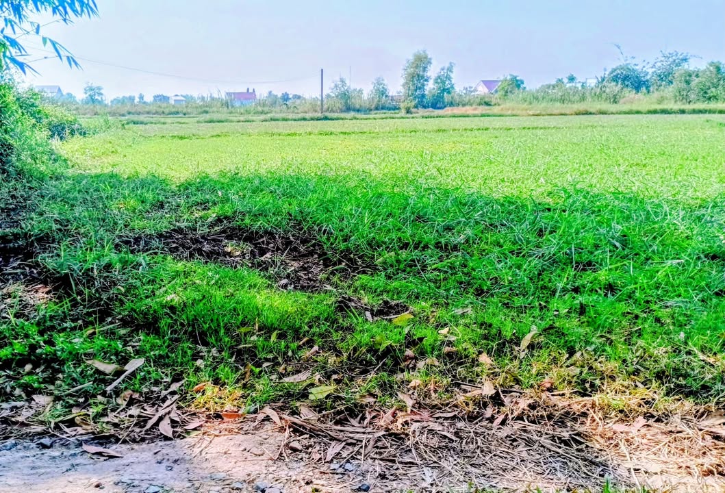 Đất nền Đức Hòa Thượng 80m² giá chỉ 560 triệu - Cơ hội đầu tư tuyệt vời!