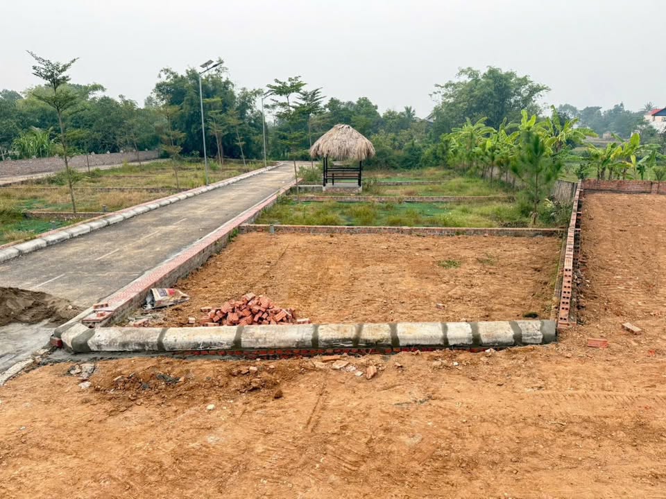 Đất nền Kim Anh, Sóc Sơn 71m² giá 1.6 tỷ - Sổ đỏ chính chủ, ô tô vào tận nơi!