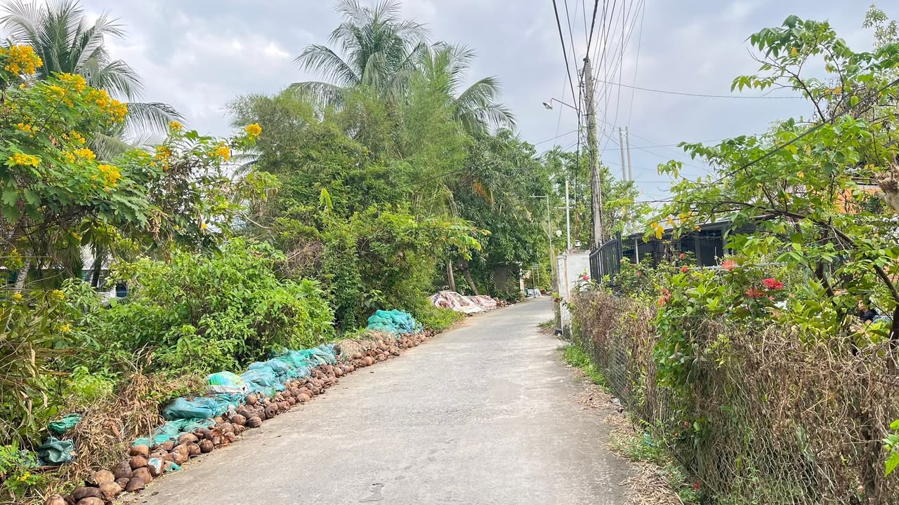 Bán đất nền xây nhà trọ tại đường Vườn Mận, Cần Thơ 359m² - Đầu tư sinh lời ngay!