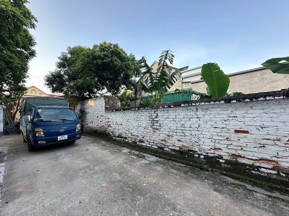 Đất thổ cư 115m² Thượng Duy, Tam Dương - Giá chỉ 7xx triệu VND!