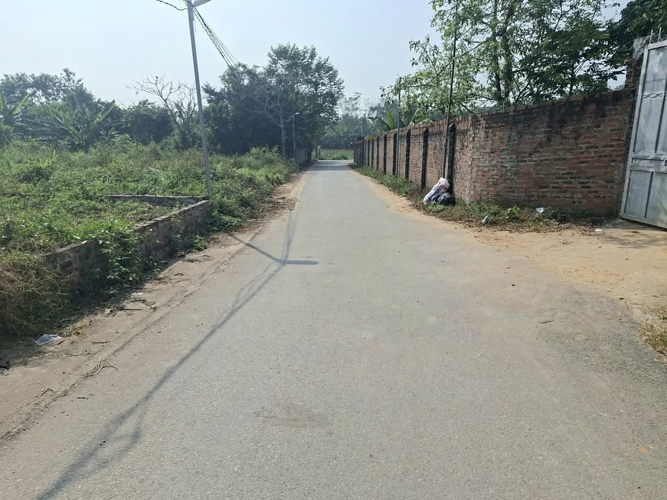 Đất nền Hướng Đạo Tam Dương 134m² giá 1.5 tỷ - Đầu tư sinh lời ngay!