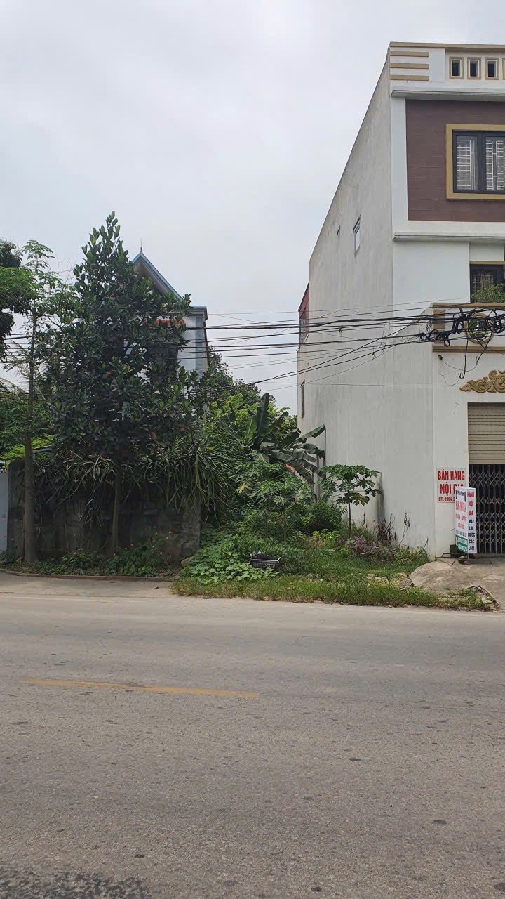 Đất nền Tỉnh Lộ 360, An Lão, 108m² - Sổ đỏ chính chủ, đầu tư sinh lời!