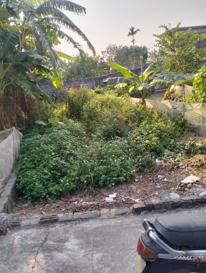 Đất nền Quốc Tuấn, An Lão 68m² - Mặt ngõ 3.5m, Giá thỏa thuận tốt nhất!