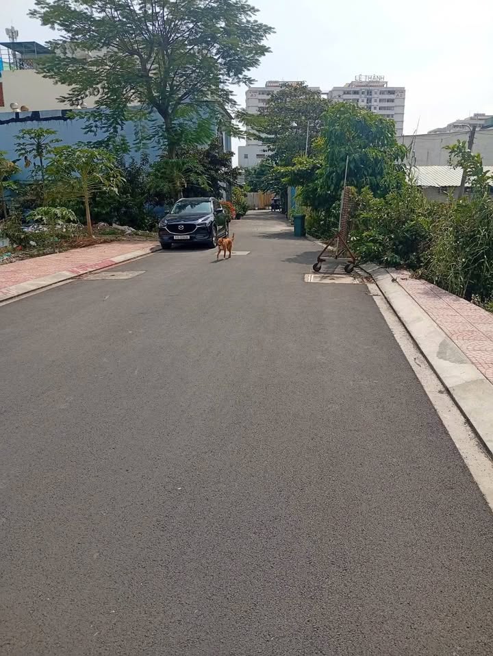 Đất nền phân lô An Lạc, Bình Tân 92m² giá chỉ 6 tỷ - Cơ hội đầu tư tuyệt vời!