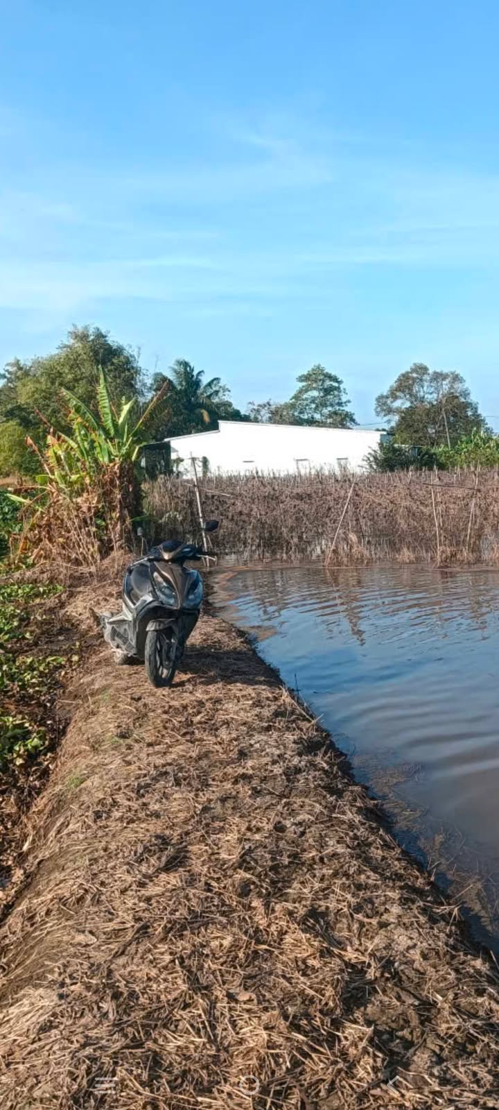 Đất ruộng 2.690m² xã Phú Thuận, An Giang chỉ 471 triệu - Mặt tiền 45m, đầu tư sinh lời!