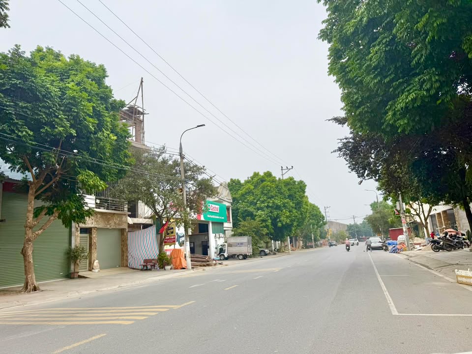 Đất Kinh Doanh Trục Chính Nguyễn Du, Việt Trì 100m² giá 7 tỷ - Cơ hội đầu tư hấp dẫn!