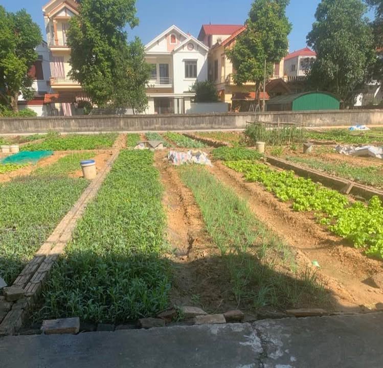 Đất Nền Lương Văn Tri, Ninh Xá 59.6m² giá 2 tỷ - Đầu tư sinh lời ngay!