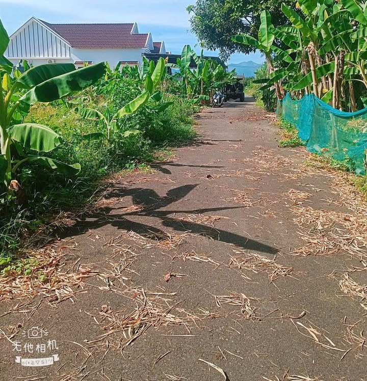 Đất đầu tư Suối Cát Cam Lâm 818m² giá 3 tỷ - Cơ hội sinh lời vượt trội!