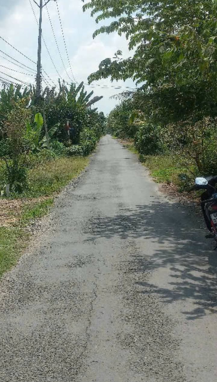 Đất Thổ Cư 520m² Tại Phú Điền, Tháp Mười - Giá Chỉ 650 Triệu!