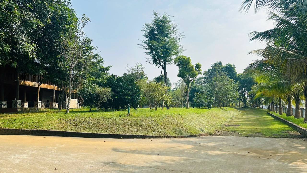 Đất Farm 1,5ha tại Phú Cát, Quốc Oai, Hà Nội - Cơ hội đầu tư sinh lời cao!