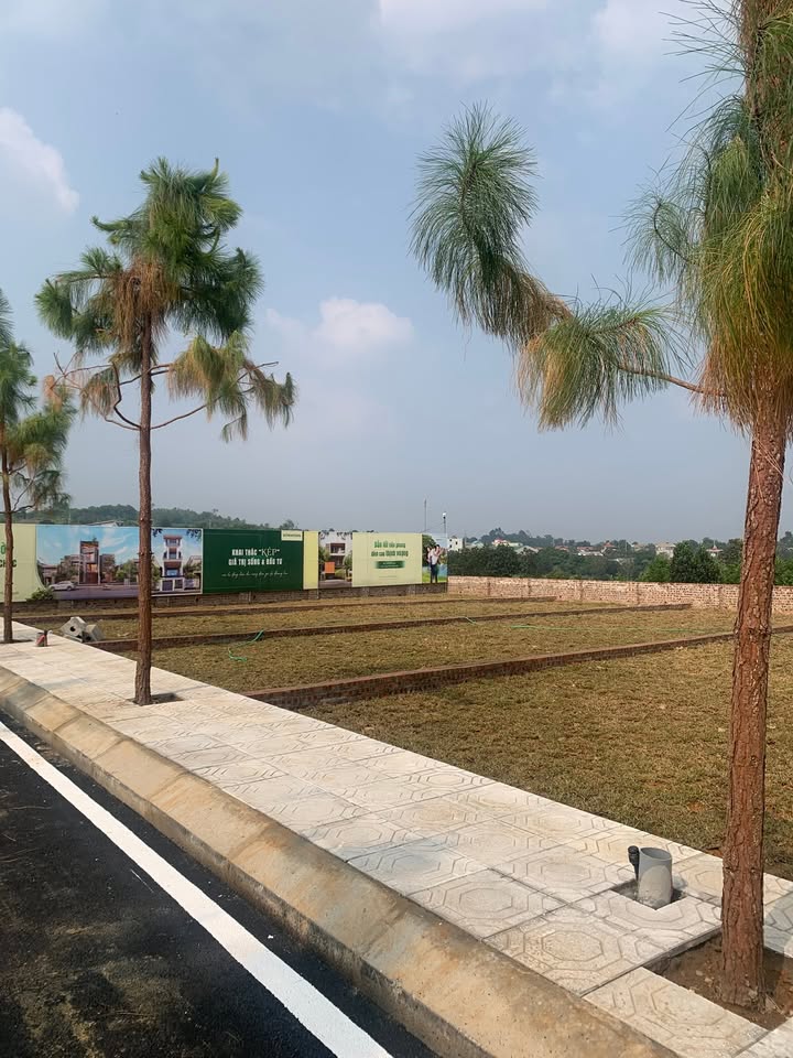 Đất thổ cư Phú Cát - Thạch Thất 100m² giá 2.7 tỷ - Đầu tư tuyệt vời!