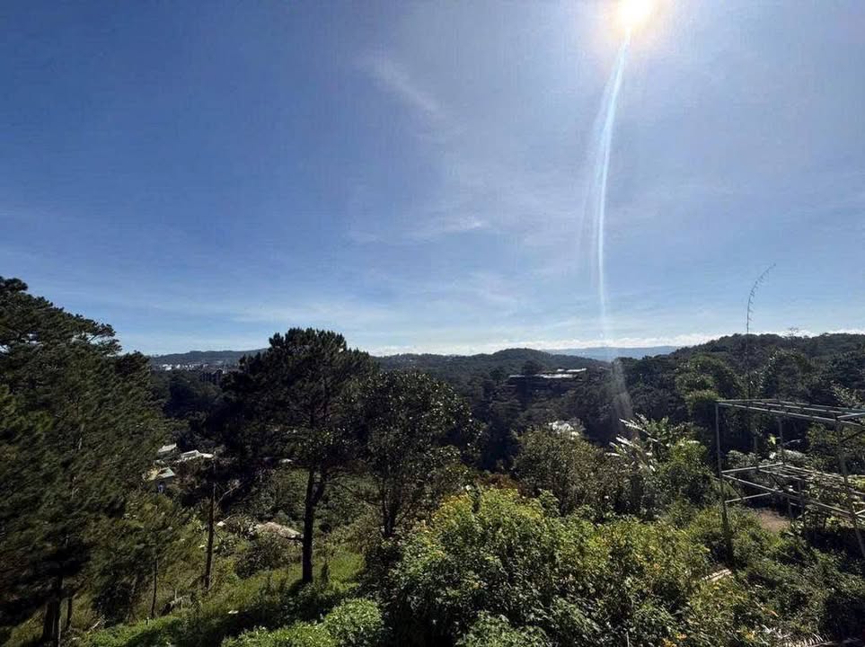 Đất Ba Tháng Tư Đà Lạt 1091m² giá 35 tỷ - View đồi thông, ô tô né nhau!