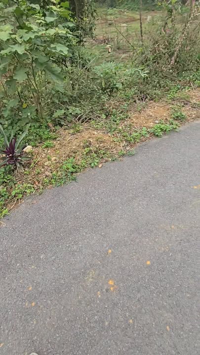 Đất nền Quan Sơn Tam Điệp 100m² giá chỉ 700 triệu - Đầu tư lý tưởng!