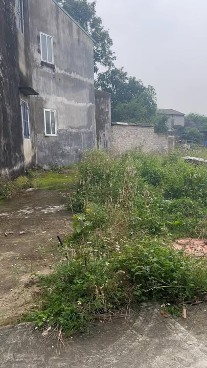 Đất nền 120m² Thanh Miếu, Việt Trì giá 1 tỷ - Sổ đỏ chính chủ, ô tô đỗ cửa!