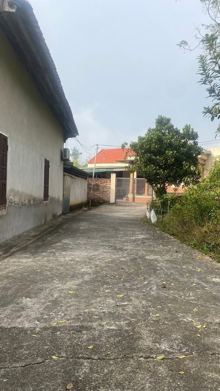 Đất nền Thanh Đình, Việt Trì 80m² giá 600 triệu - Đầu tư sinh lời ngay!