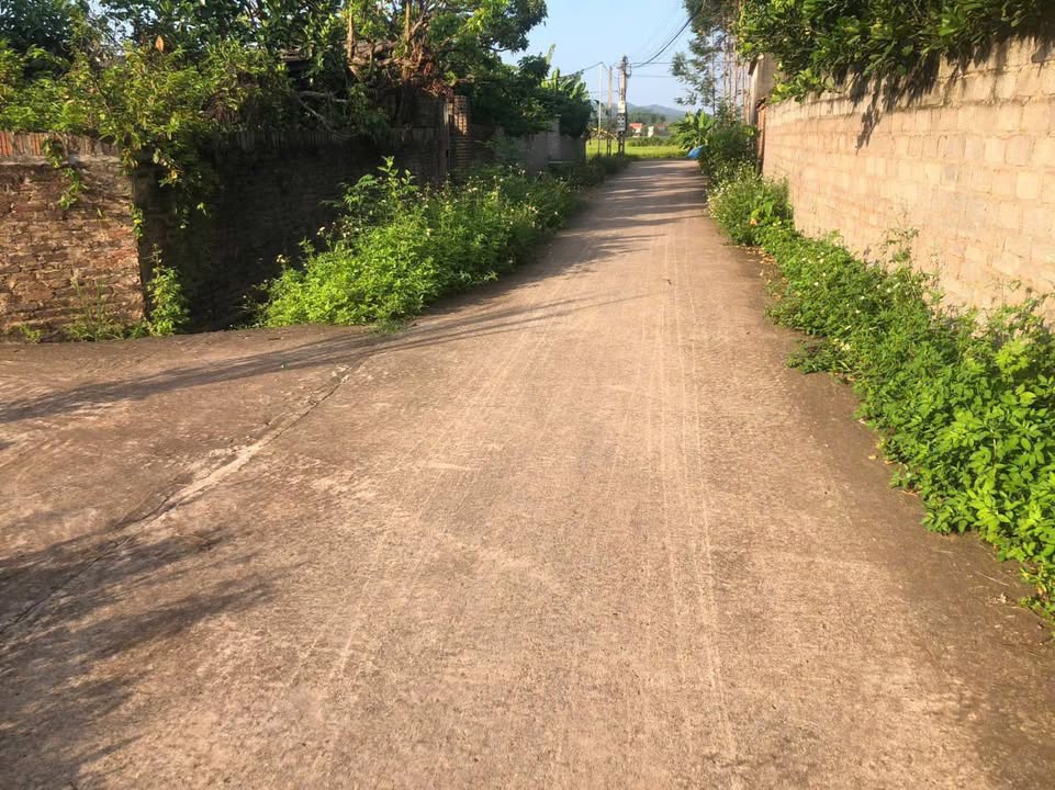 Đất nền Bảo Đài Lục Nam 380m² giá thỏa thuận - Đất vuông vắn, vị trí đẹp!