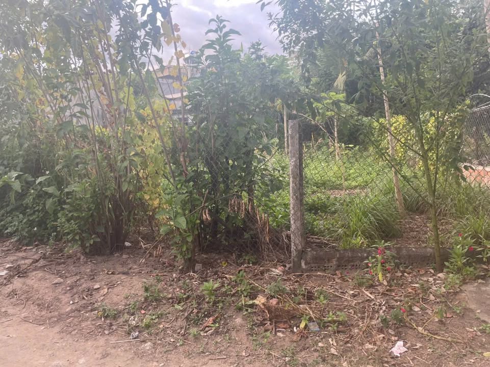 Đất nền QH Số 12, Tổ 2, Nguyên Trãi, 163m² giá 500 triệu - Cơ hội đầu tư lý tưởng!