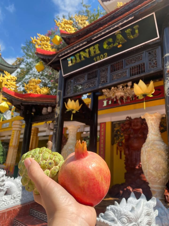 Đất nền xã Cầu Khởi, Dương Minh Châu 145m² giá 320 triệu - Cơ hội đầu tư tuyệt vời!