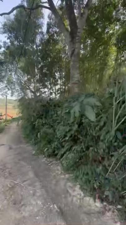 Đất nền Hoàng Cương, Thanh Ba 1540m² giá 900 triệu - Cơ hội đầu tư tuyệt vời!