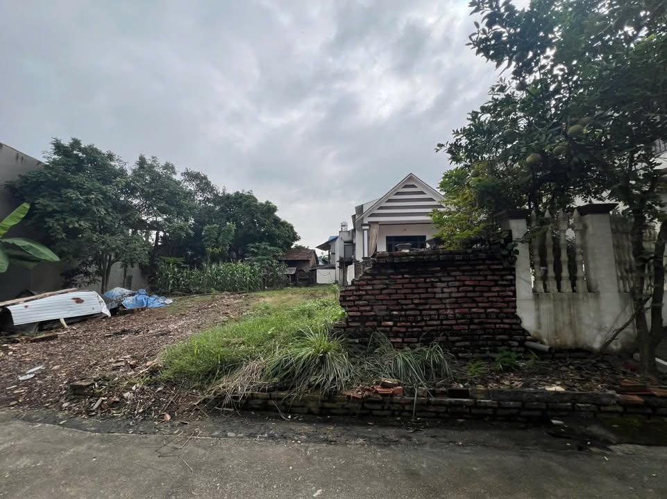 Đất nền Nông Trang, Việt Trì 164,5m² giá 2,1 tỷ - Vị trí đắc địa, thuận tiện giao thông!