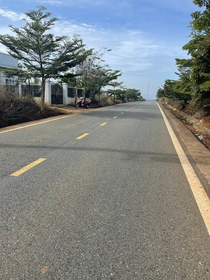 Đất nền Tân Hội, Đức Trọng 200m² giá 1.35 tỷ - Đầu tư sinh lời ngay!