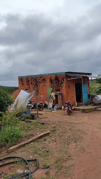 Farm 1ha1 tại thôn 6a, xã Ea Ral, Đắk Lắk - Giá bán chỉ 698 triệu!