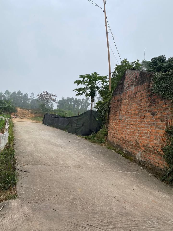 Đất nền Tam Dương 106m² dưới 300 triệu - Cơ hội đầu tư sinh lời hấp dẫn!