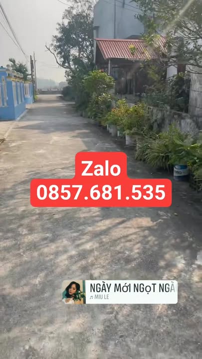 Đất nền Nghĩa Lợi, Nam Định 195m² giá 1.8 tỷ - Cơ hội đầu tư tuyệt vời!