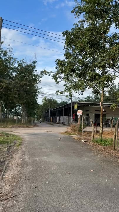 Đất nền thổ cư 2000m² tại Chơn Thành, Bình Phước - Mặt tiền đường nhựa, sổ hồng sẵn!