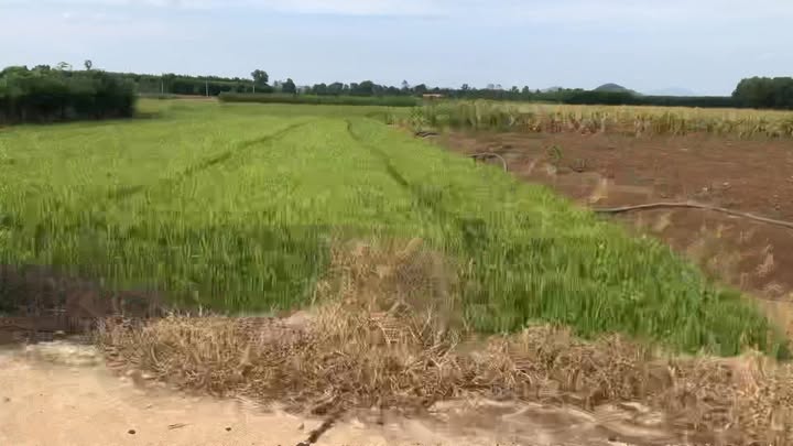 Đất nền 1700m² tại Bình Trung, Châu Đức chỉ 770 triệu - Cơ hội đầu tư tuyệt vời!