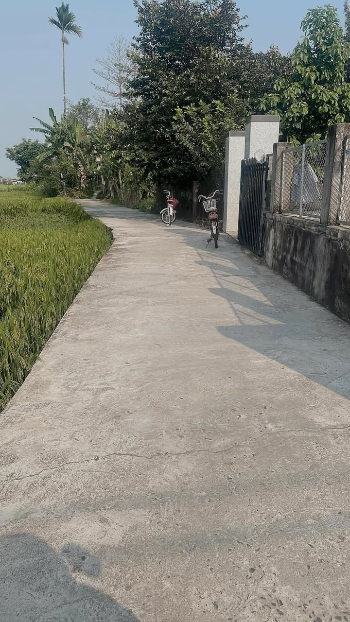 Đất nền Điện Hồng 110m² giá chỉ 500 triệu - Sổ đỏ chính chủ