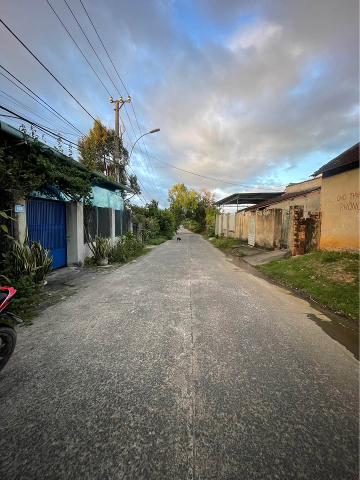 Đất mặt đường Trần Đại Nghĩa, phường Nguyễn Trãi, 375m² - Cơ hội đầu tư tuyệt vời!