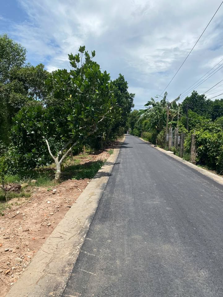 Đất nền đường Trần Trọng Khiêm, Cao Lãnh 85m² giá 699 triệu - Đầu tư sinh lời ngay!