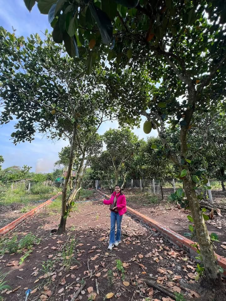 Đất nền Bảo Vinh 120m² giá 690 triệu - Đầu tư sinh lời nhanh chóng!