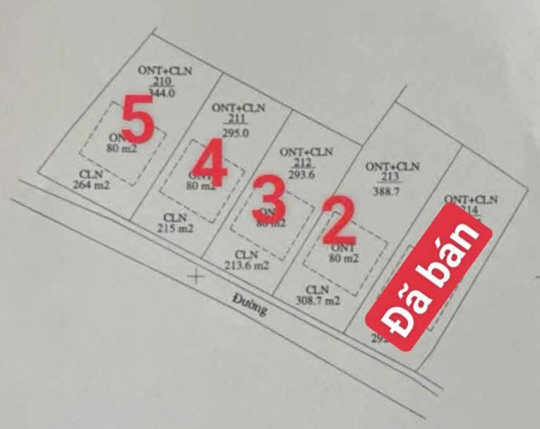 Đất nền Vô Tranh Lục Nam 295-388m² chỉ 400 triệu - Cơ hội đầu tư hấp dẫn!