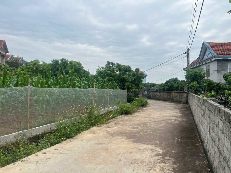 Đất vườn Giáp Sơn Lục Ngạn 1500m² giá 1.4 tỷ - Mặt tiền rộng 30m!