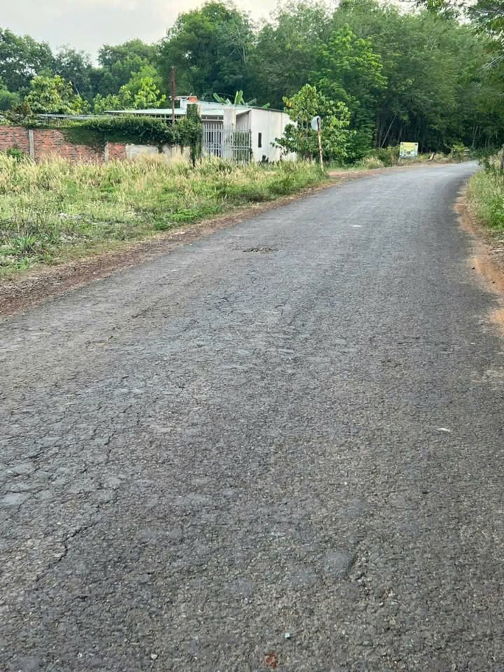 Đất nền Phước An Hớn Quản 3000m² giá 900 triệu - Sổ đỏ chính chủ!