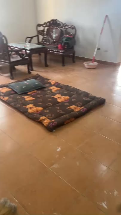 Căn hộ cho thuê B6C Nam Trung Yên 73m² giá chỉ 11 triệu - Vào ở ngay!