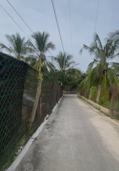 Đất nền Long Hòa A, Đạo Thạnh 100m² giá 800 triệu - Đầu tư sinh lời ngay!